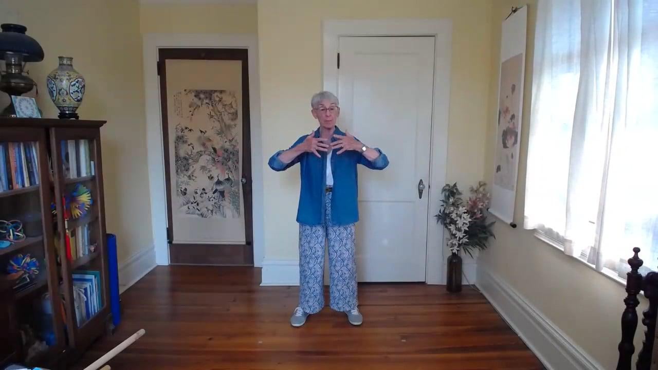 Ompractice Teacher Gurney Bolster