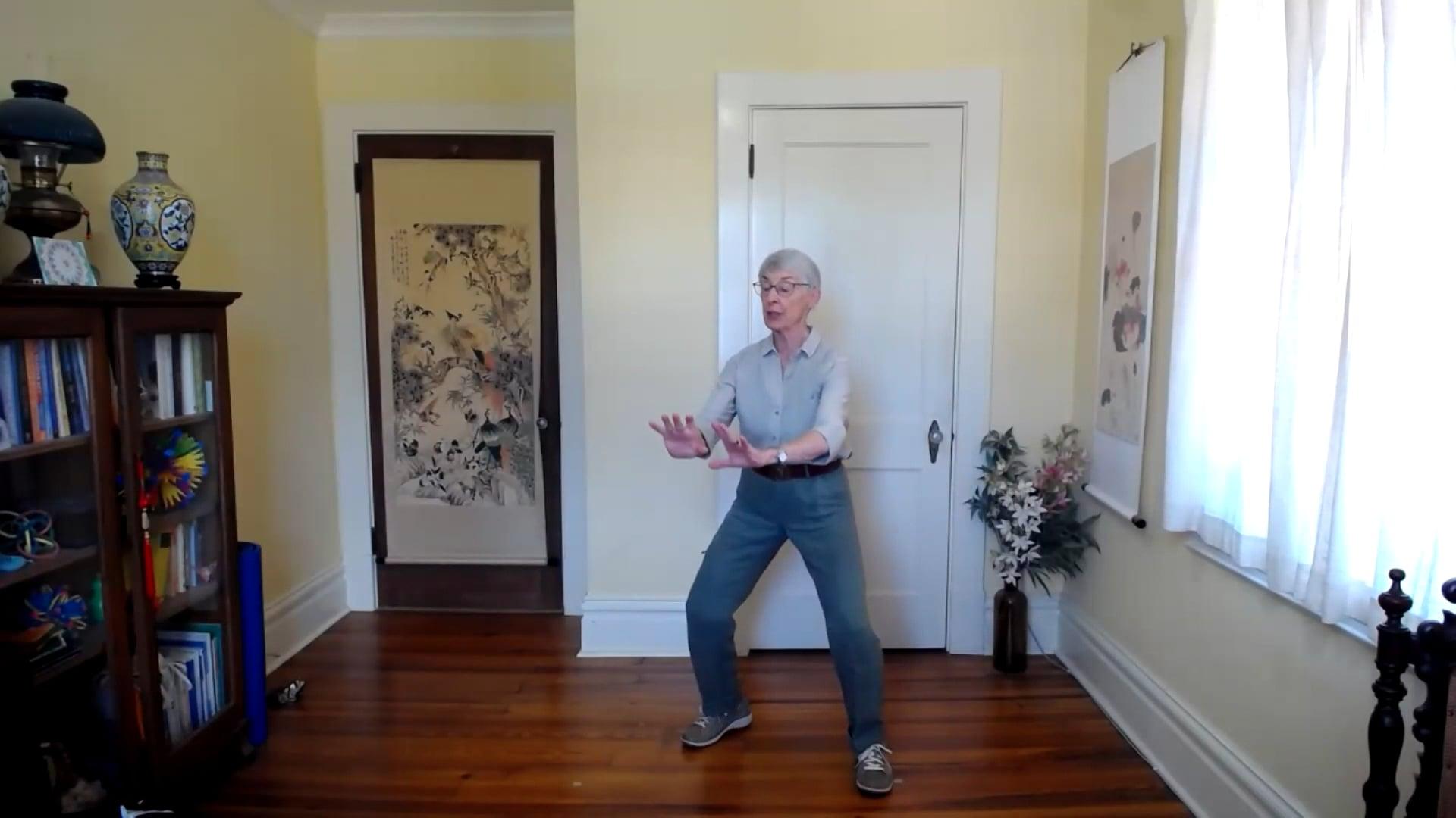 Ompractice Teacher Gurney Bolster