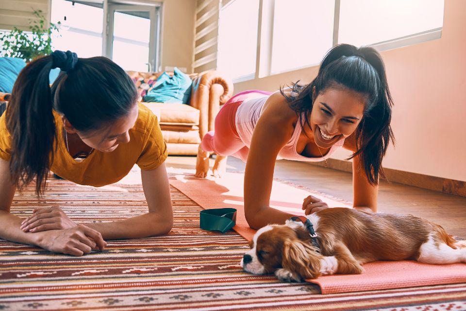 Two women doing planks at home while a dog snoozes in front of them